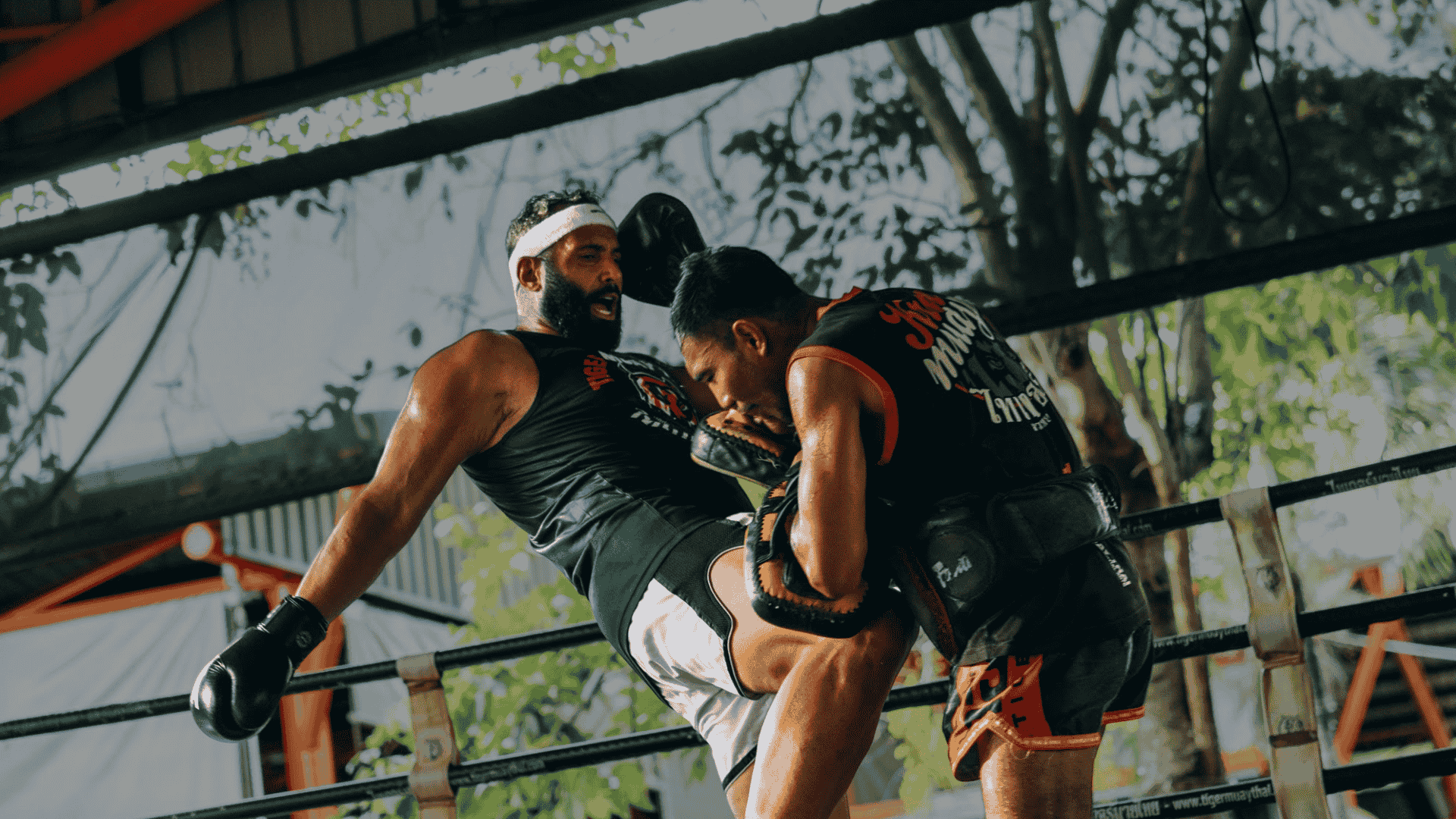 Hulk Muay Thai & Fitness Gym photo (Gym's own website)